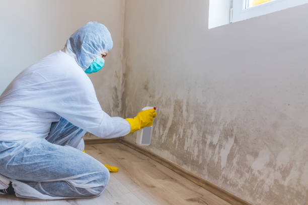 Hvac And Air Duct Mold Remediation inspection of HVAC system in Arnold